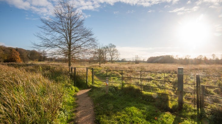 Winter walk on Oxburgh Estate Norfolk